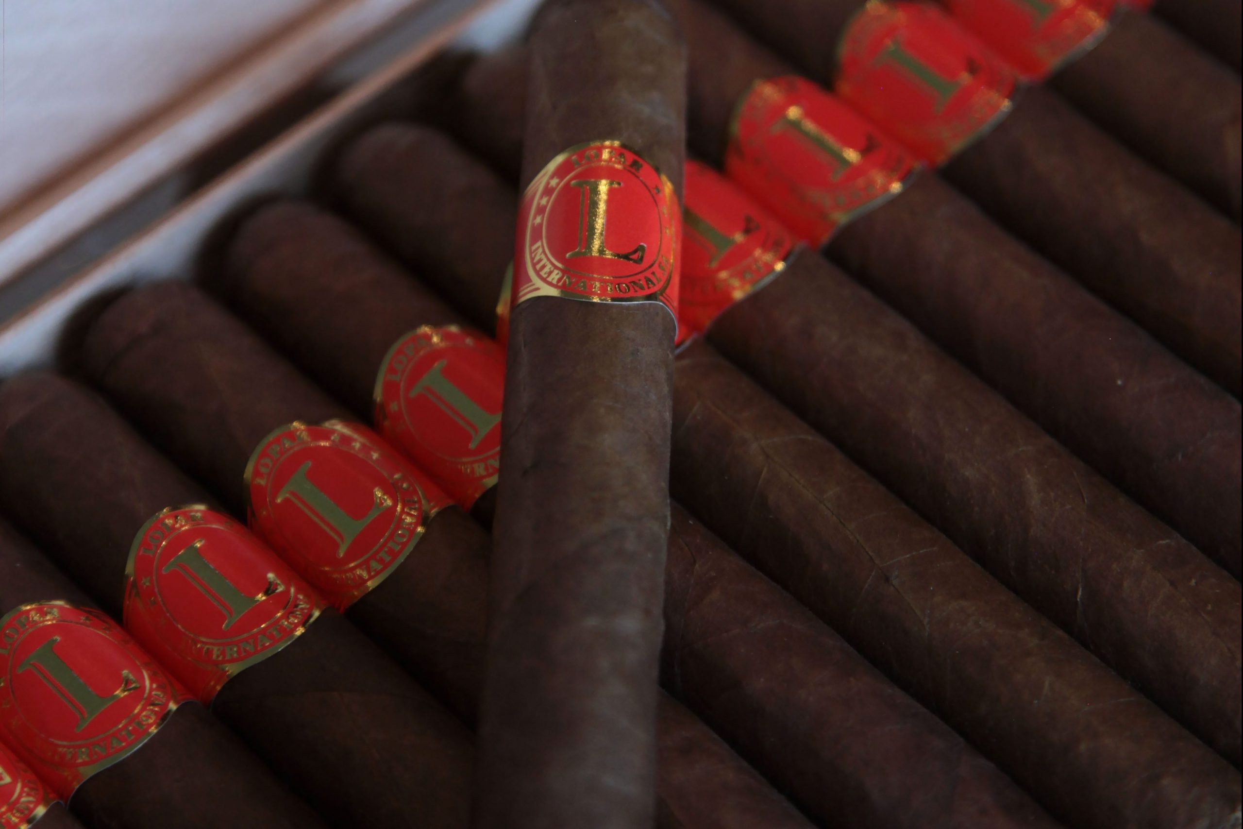 Tasting Two new Lopar ! Cigars Connect