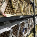 Image en avant pour “430 millions de cigares importés aux Etats-Unis en 2024”