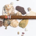 Image en avant pour “Un lancero Juan Lopez réservé à l’Adriatique”