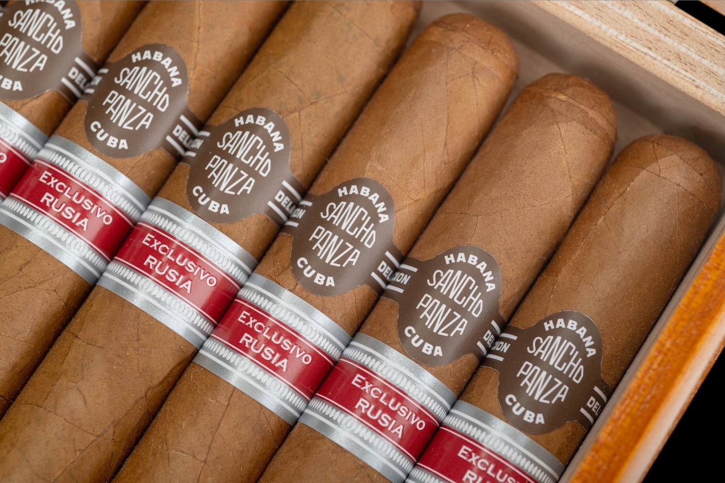 バイオナド7シュ　ペコサマ zaya_coll_kolosso_amethyst_box