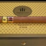 Image en avant pour “Le Trinidad Villa (LCDH + HS) dévoilé au Mexique”