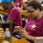 Image en avant pour “La République dominicaine a exporté 196 millions de cigares faits main l’an dernier”