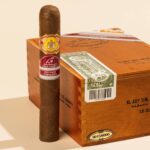 Image en avant pour “Un El Rey del Mundo « exclusivo Costa Rica » arrive la semaine prochaine”