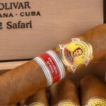Image en avant pour “Bolivar Safari, la première édition régionale cubaine pour l’Afrique”