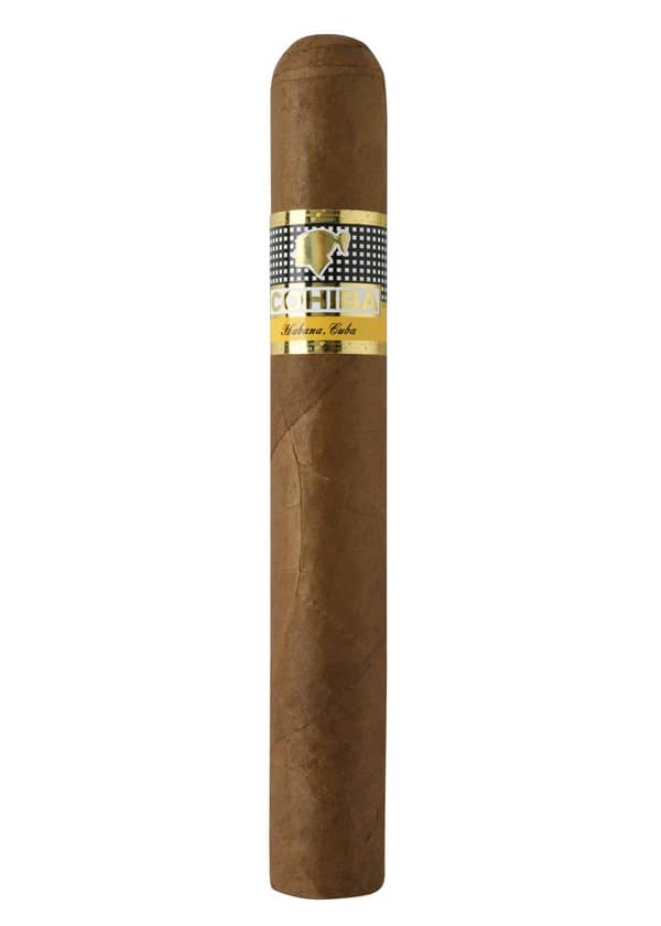 Vitole du Siglo VI