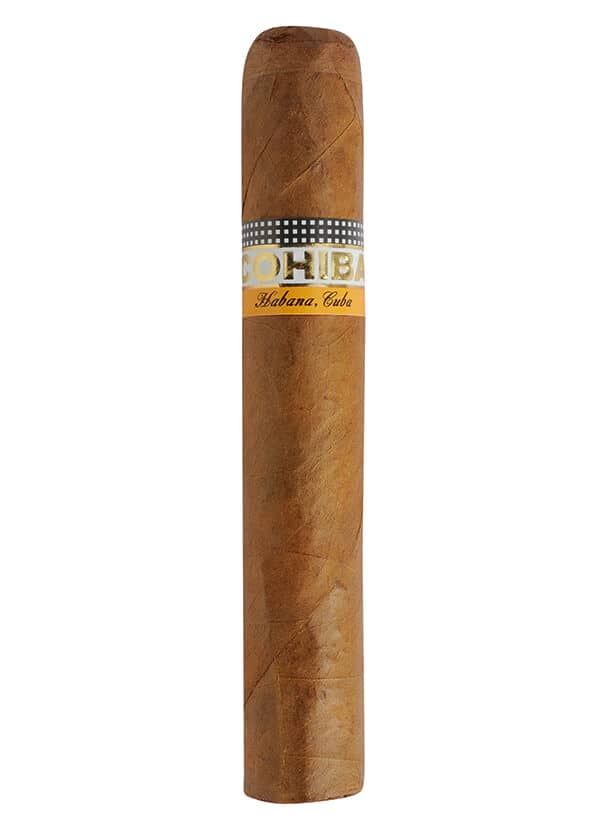 Vitole du Robustos