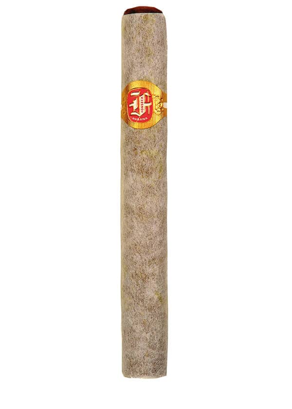 Vitole du Cosacos