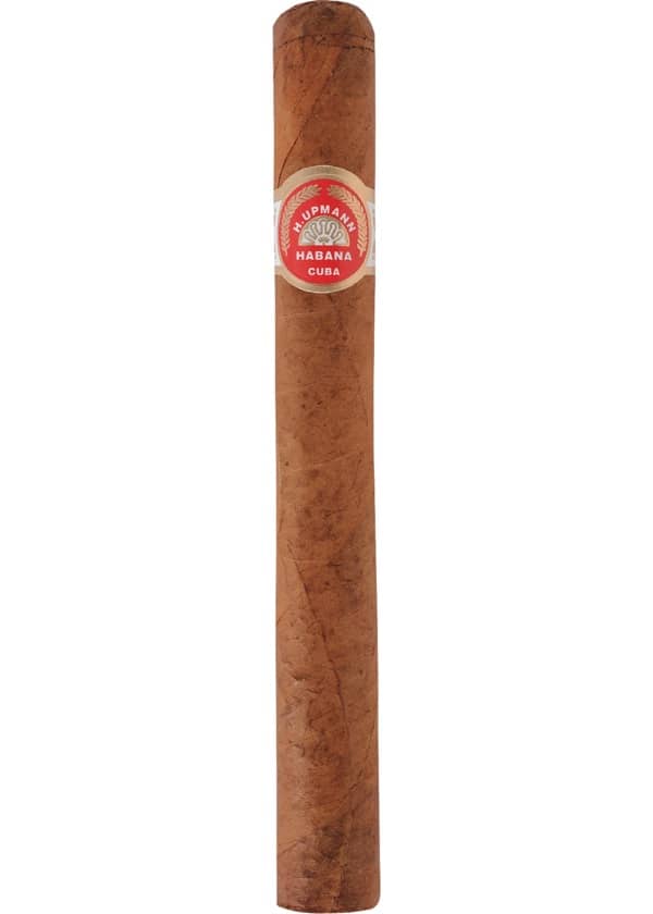 Vitole du Majestics