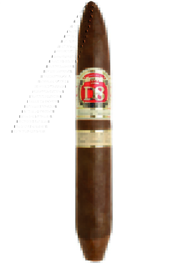 Vitole du Short Salomon